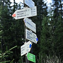 Wegweiser am Lusenbach zum Purstling Wegweiser am Lusenbach zum Purstling