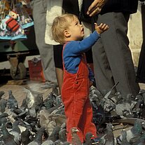 Kind und Tauben Kind und Tauben