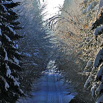 verschneiter Weg am Abspann verschneiter Weg am Abspann