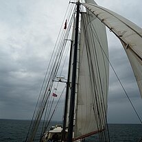 mit kräftigem Wind gehts weiter mit kräftigem Wind gehts weiter