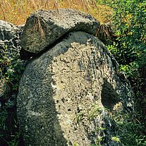Mühlrad mit Getreide