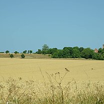 Felder und die Türme von Arkona Felder und die Türme von Arkona