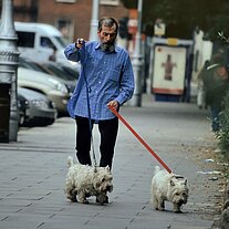bärtiger Ire führt seine Pudel aus bärtiger Ire führt seine Pudel aus