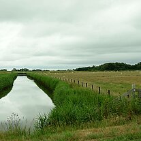 Weiden und Kanal Weiden und Kanal