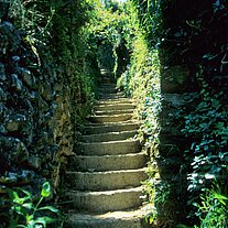 Treppen in den Weinbergen Treppen in den Weinbergen