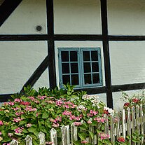 Gartenzaun mit Blumen Gartenzaun mit Blumen