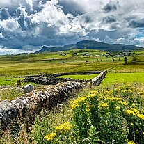 St Molaugs Church und Friedhof