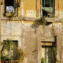 vier Fenster vier Fenster