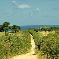 Weg über die Insel Weg über die Insel