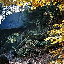 Kibitzstein Kibitzstein