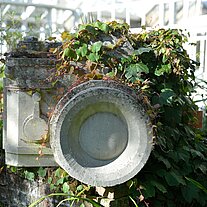 Fotoapparat überwuchert Fotoapparat überwuchert
