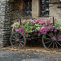 Blumenwagen auf der Burg