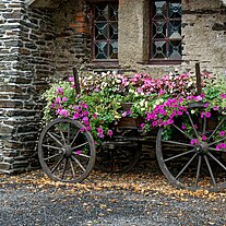 Blumenwagen auf der Burg Blumenwagen auf der Burg