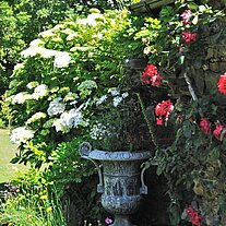 Garten auf Sark Garten auf Sark