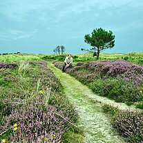ich sitze in der Heide ich sitze in der Heide