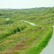 Weg durch die Dünen Weg durch die Dünen