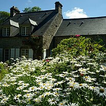 Garten der Maison Jaques Prévert Garten der Maison Jaques Prévert