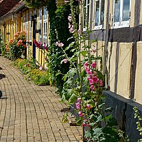 Provstegade Häuserfronten Provstegade Häuserfronten
