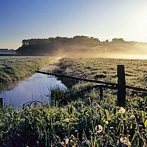 Wiese mit Bach Morgennebel Wiese mit Bach Morgennebel