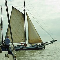 die Zwadde kreuzt uns die Zwadde kreuzt uns