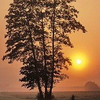 Sonnenaufgang bei Kemnath Sonnenaufgang bei Kemnath