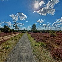 Weg vom Faßberg Weg vom Faßberg