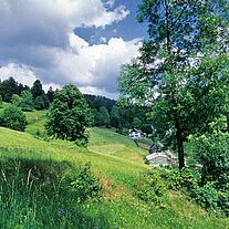 Falkenberg Falkenberg