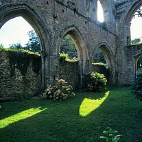 Abbaye de Beauport Hauptschiff Rasen Abbaye de Beauport Hauptschiff Rasen
