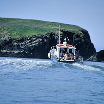 Überfahrt zu den Skelligs Überfahrt zu den Skelligs