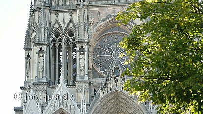 Kathedrale mit Baum davor Kathedrale mit Baum davor