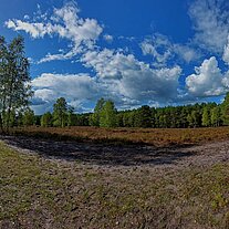 Heide Panorama bei Severloh Heide Panorama bei Severloh