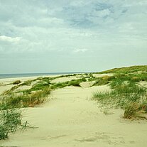 Stranddünen Stranddünen
