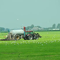 Gülle ausbringen