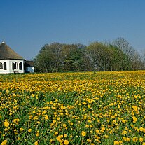 Kapelle von Vitt mit Wiese Kapelle von Vitt mit Wiese