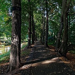 Radweg Allee Radweg Allee