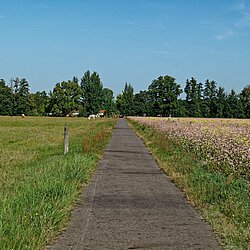 Weg nach Boxberg Weg nach Boxberg