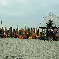 Strandgut im Innern der Palisaden Strandgut im Innern der Palisaden