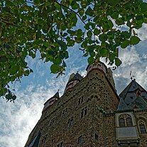 Hauptbau mit Baum nach oben