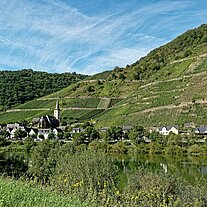 Bremm in der Moselschleife Bremm in der Moselschleife