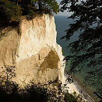 Die Kippen von Møn (Møns Klint) Die Kippen von Møn (Møns Klint)