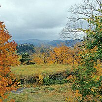 Herbst bei Silberberg Herbst bei Silberberg