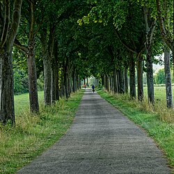 Gaby auf Radweg bei Schengen