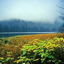 Der Rachelsee Der Rachelsee