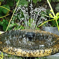 kleiner Springbrunnen kleiner Springbrunnen