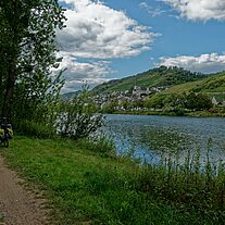 am Radweg vor Klotten