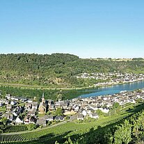 MoselPanorama von der Burg aus MoselPanorama von der Burg aus