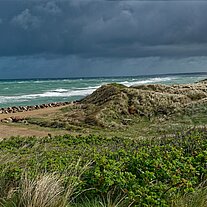 Meer am Haus Meer am Haus