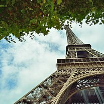 Eiffelturm mit Baum