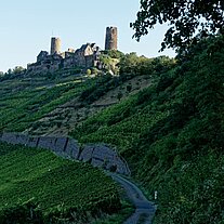 Burg Thurant Burg Thurant