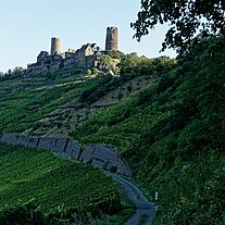 Burg Thurant